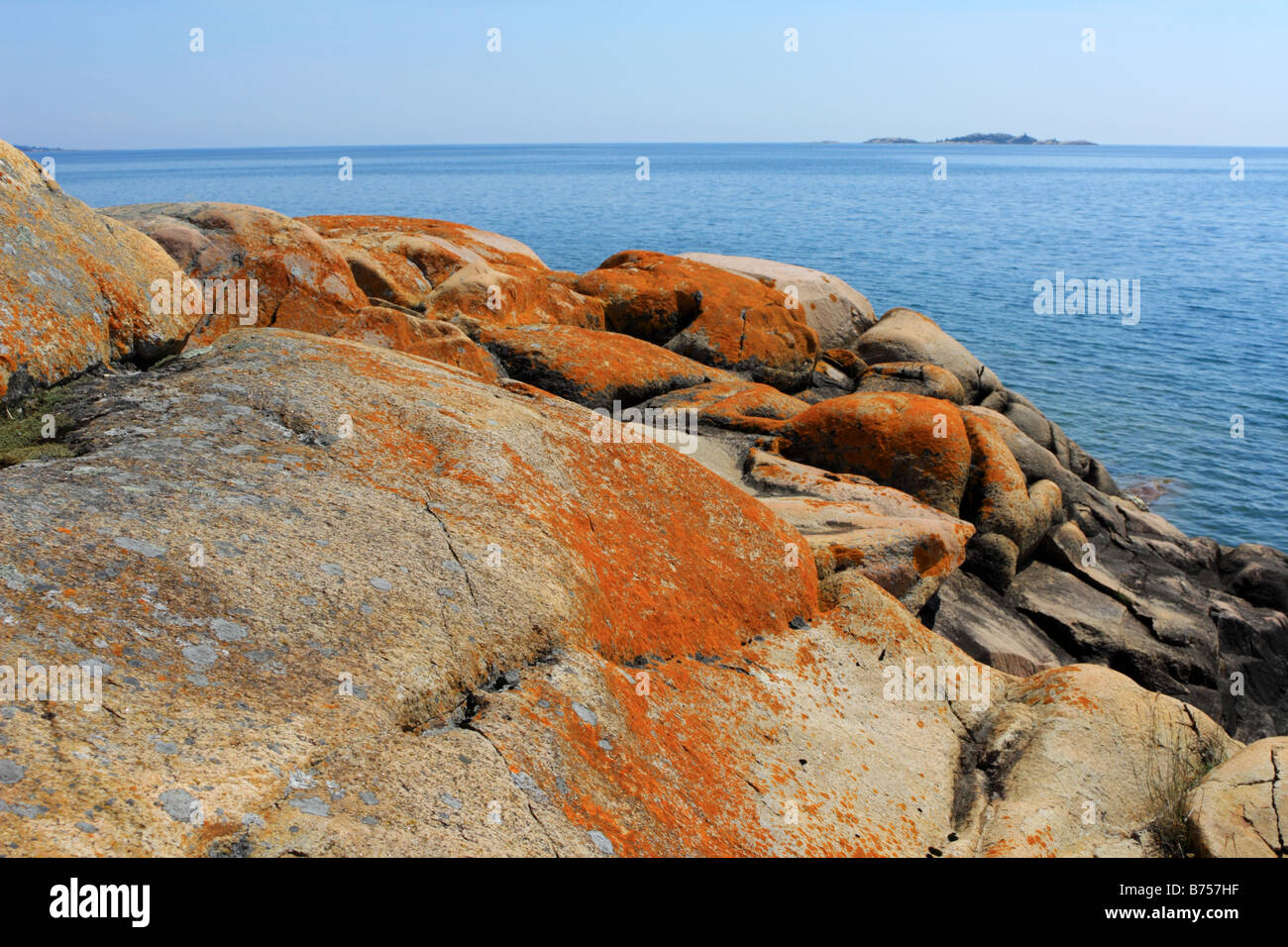 Rocks covered with colorful lichens and mosses on an Georgian Bay ...