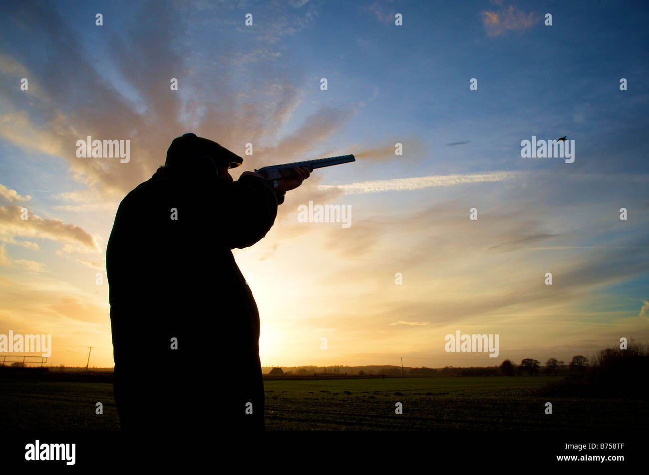 Shot leaves the barrel of a 12 bore shotgun as a 'gun' takes a shot at a Pheasant during a winter game shoot whilst the sun sets Stock Photo