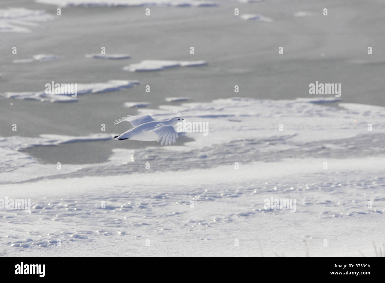 Rock over hudson hi-res stock photography and images - Alamy