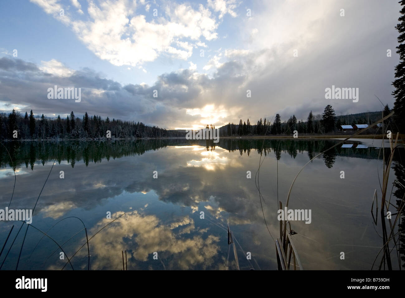 Ruth Lake, 100 Mile House, BC, Canada Stock Photo Alamy
