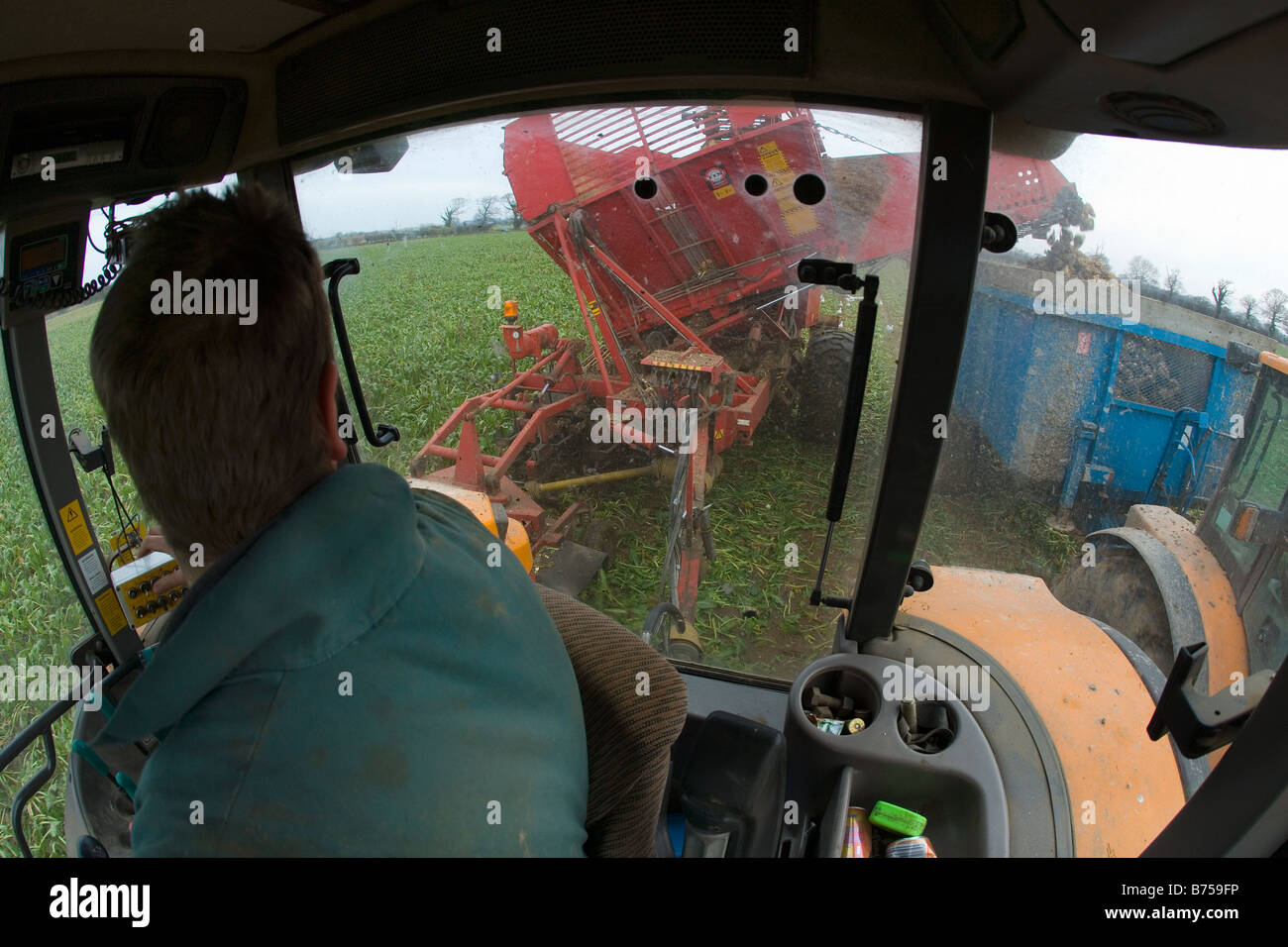 Sugar Beet Harvesting Gimingham Norfolk Winter Stock Photo