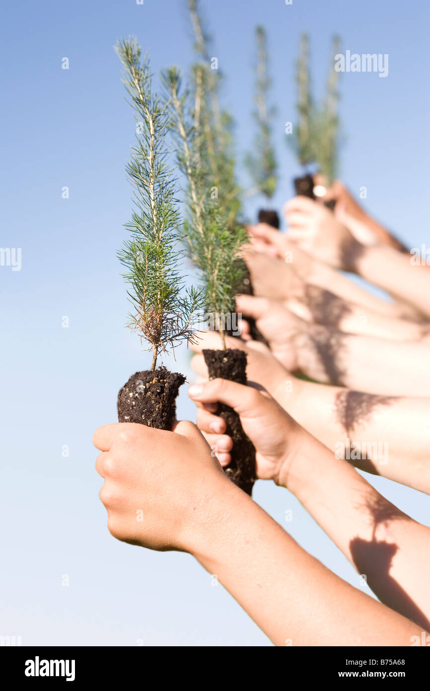 Tree planting canada hires stock photography and images Alamy