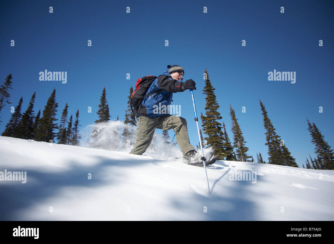 Snowshoer along Coal Lake Trail near Mount Sima in Whitehorse, Yukon, Canada Stock Photo