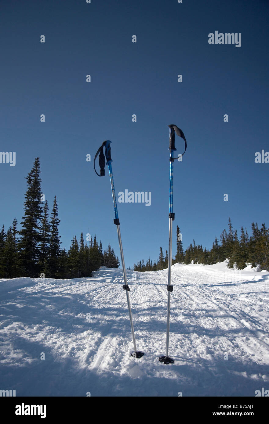 Hiking poles stuck in snow along the Coal Lake Trail, Whitehorse, Yukon, Canada Stock Photo
