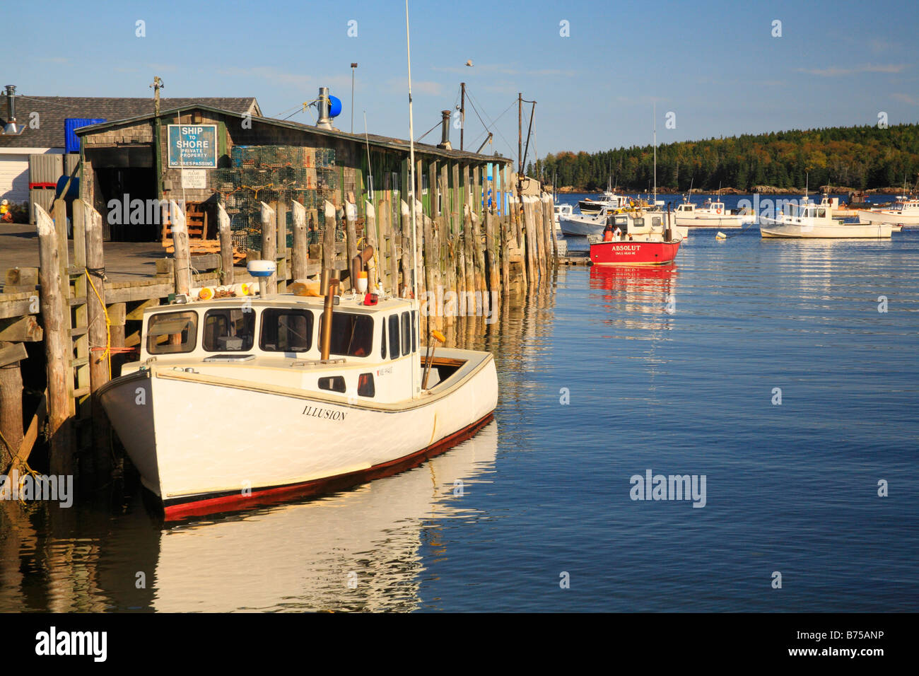 Owls head maine hires stock photography and images Alamy