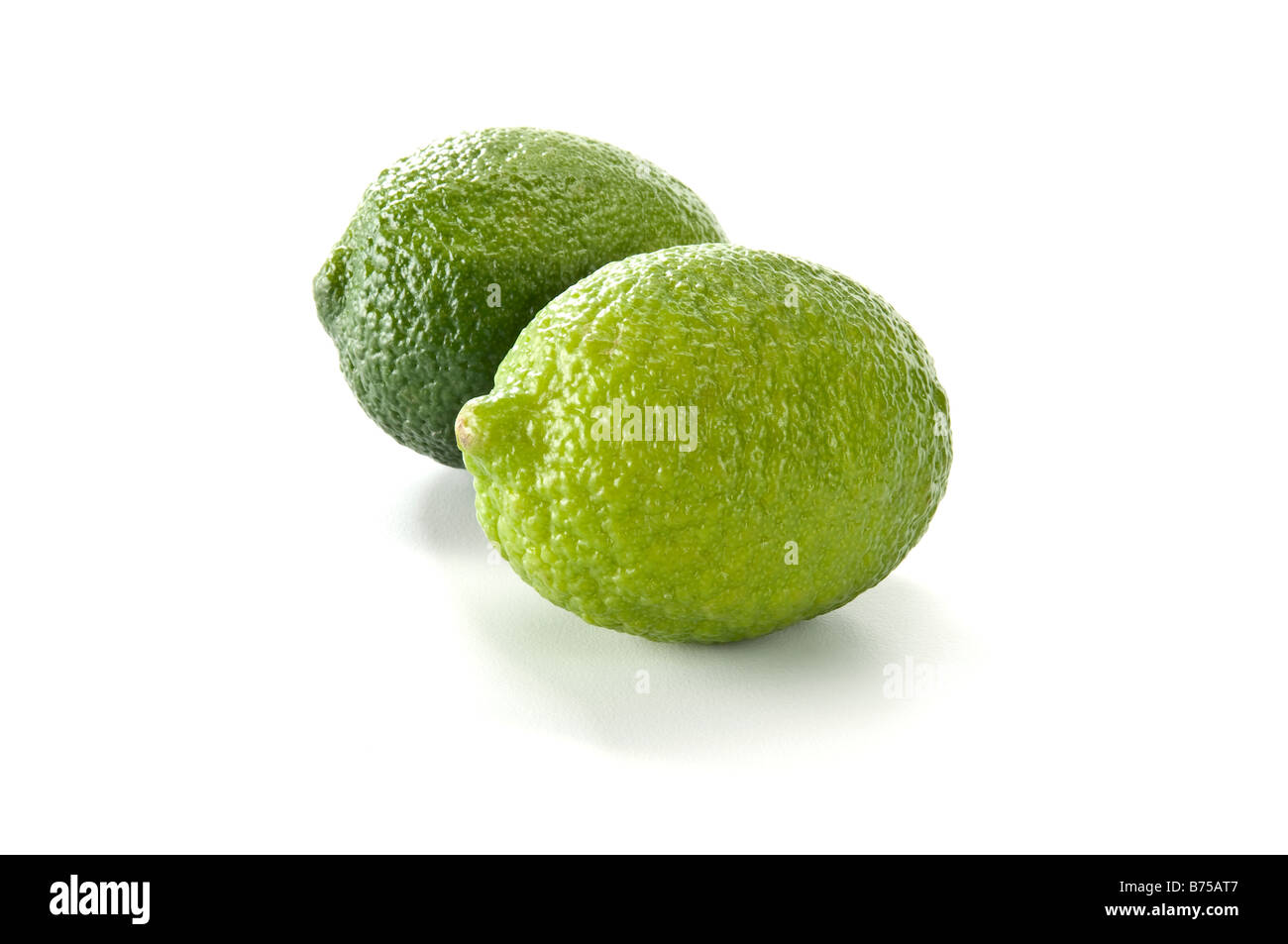 Close up of two limes placed on a white background. Each has a small shadow beneath. Stock Photo
