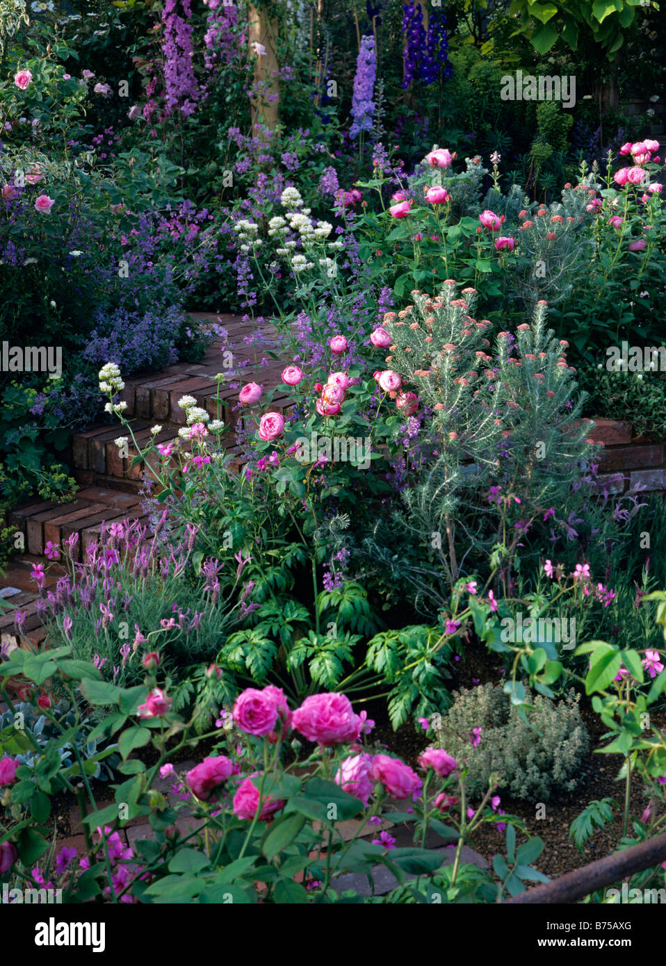 Romantic pink and mauve garden border Stock Photo