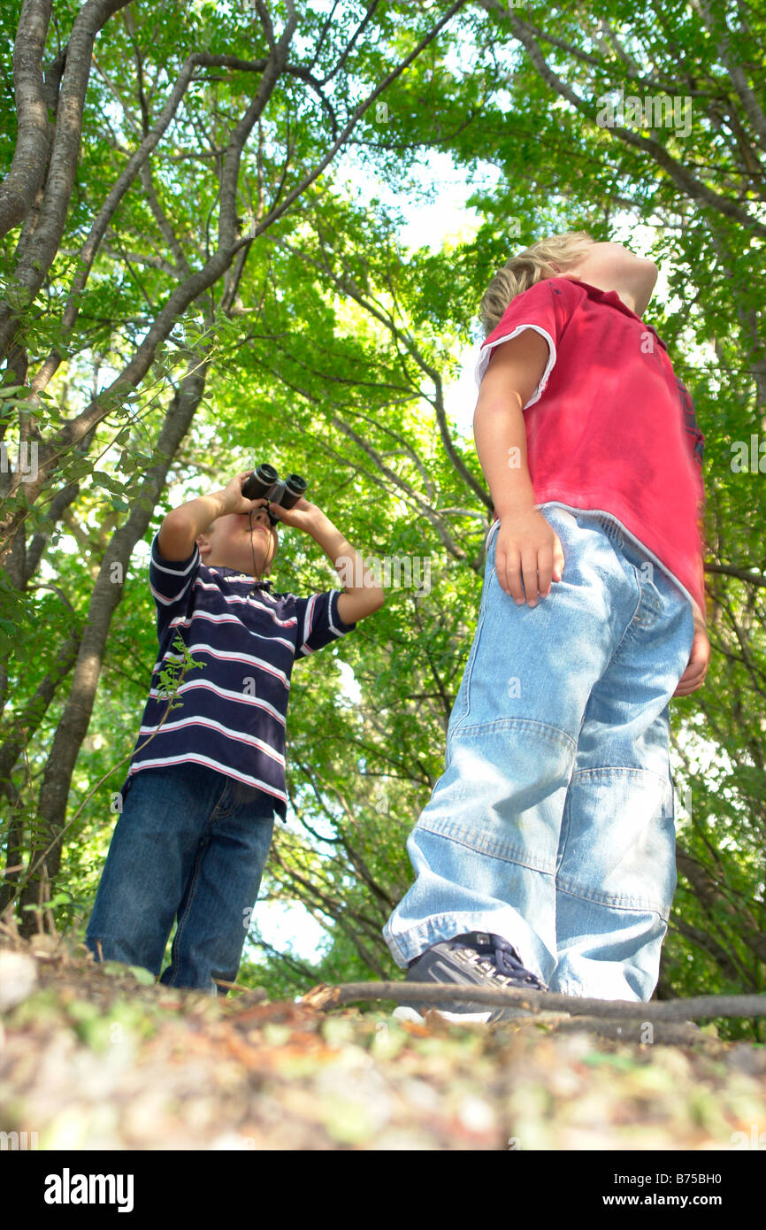 Four and six year old brothers look upward, on walking trail in forest, Winnipeg, Canada Stock Photo