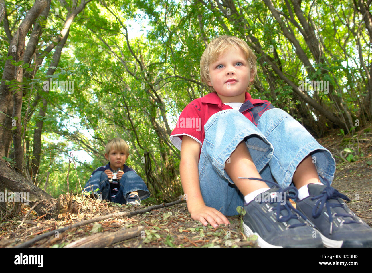 Four and six year old brothers on seated on walking trail in forest, Winnipeg, Manitoba, Canada Stock Photo