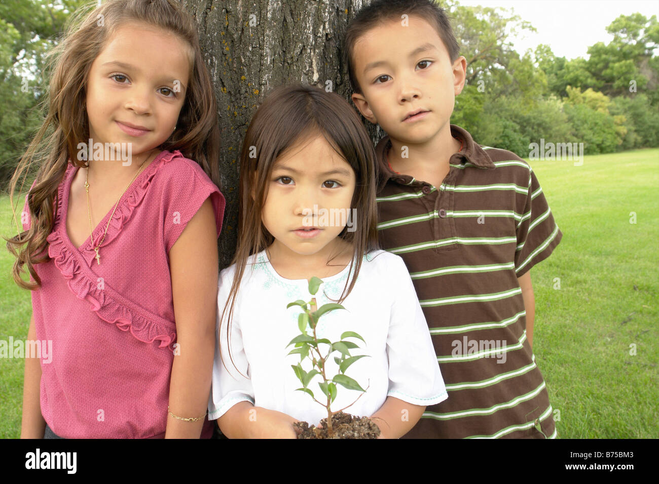 Five year old girl holds small tree, beside seven year old boy and girl, Winnipeg, Canada Stock Photo