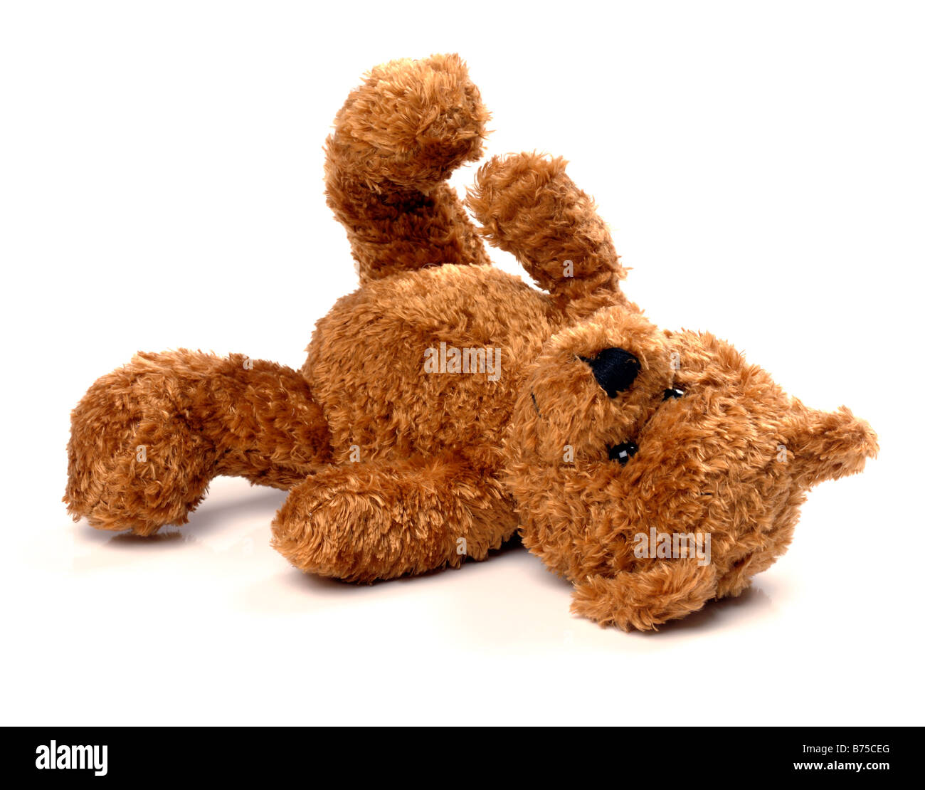 Discarded teddy bear Stock Photo