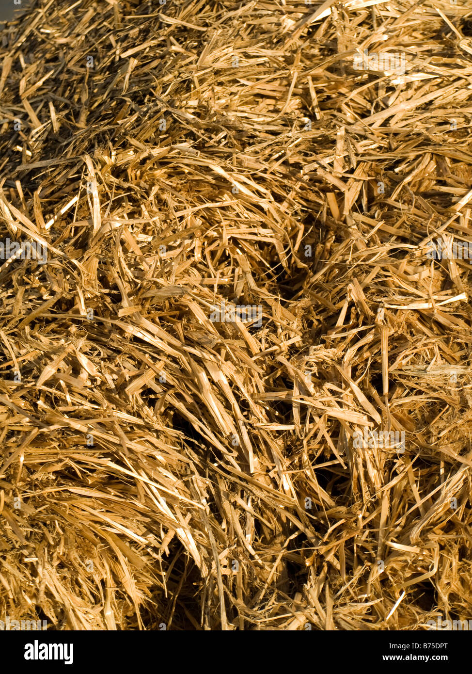 Wet Hay Straw Background Texture Stock Photo Alamy