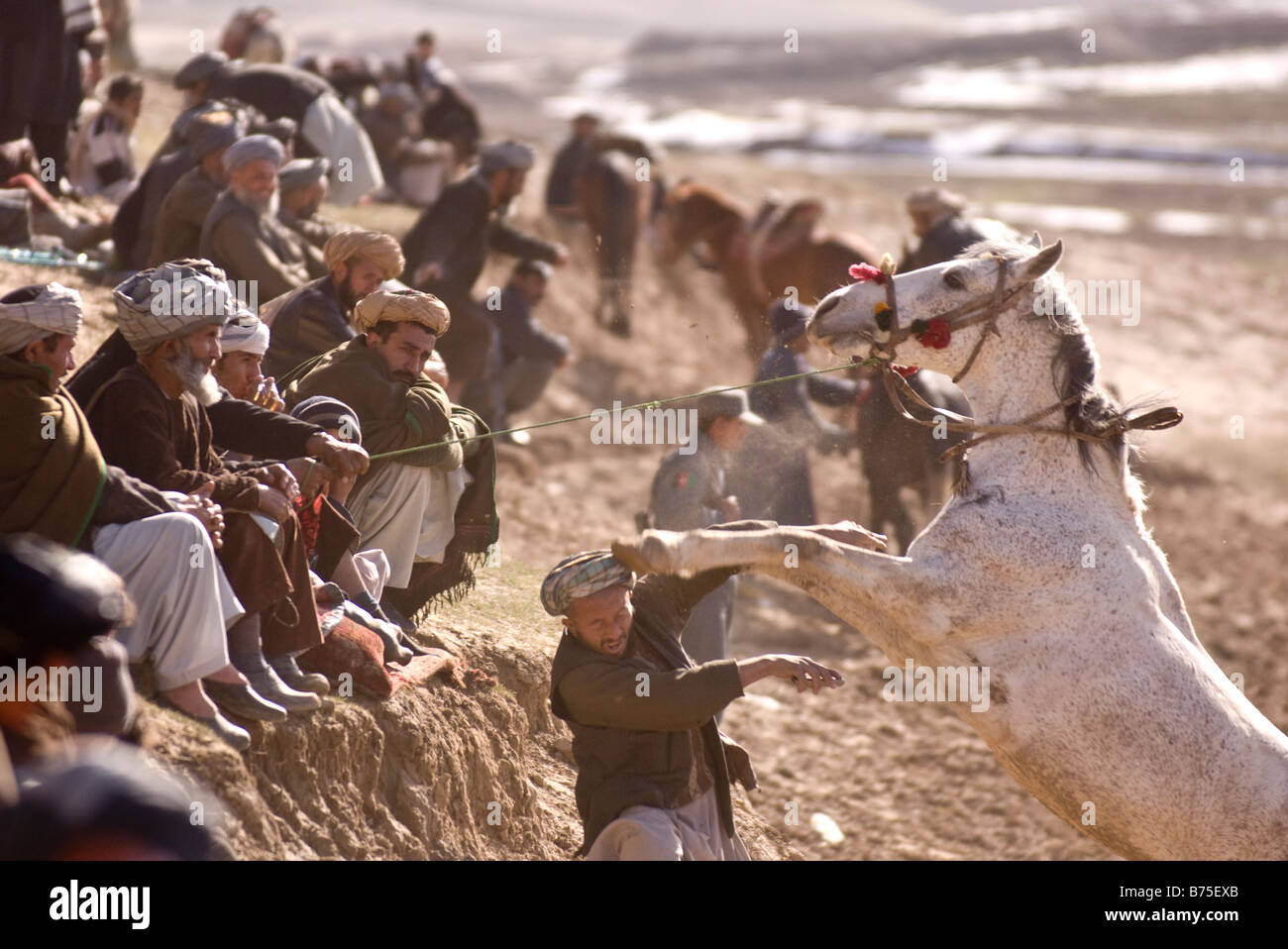 Afghan horsemen take part in the traditional Buzkashi game in Maimana Afghanistan on Tuesday 19th February 2008. Stock Photo