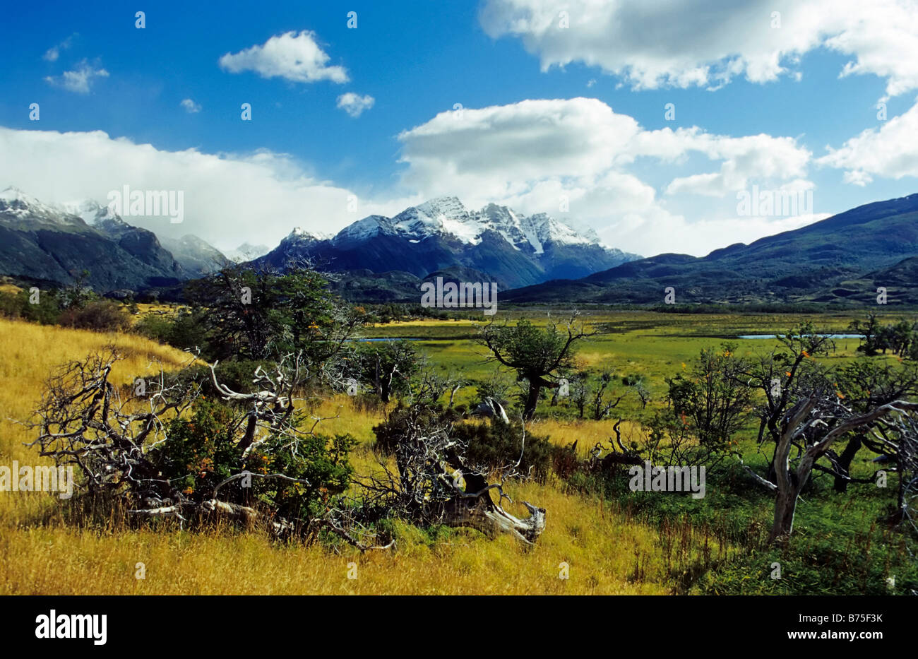 patagonia view over rio paine mountains chile Stock Photo