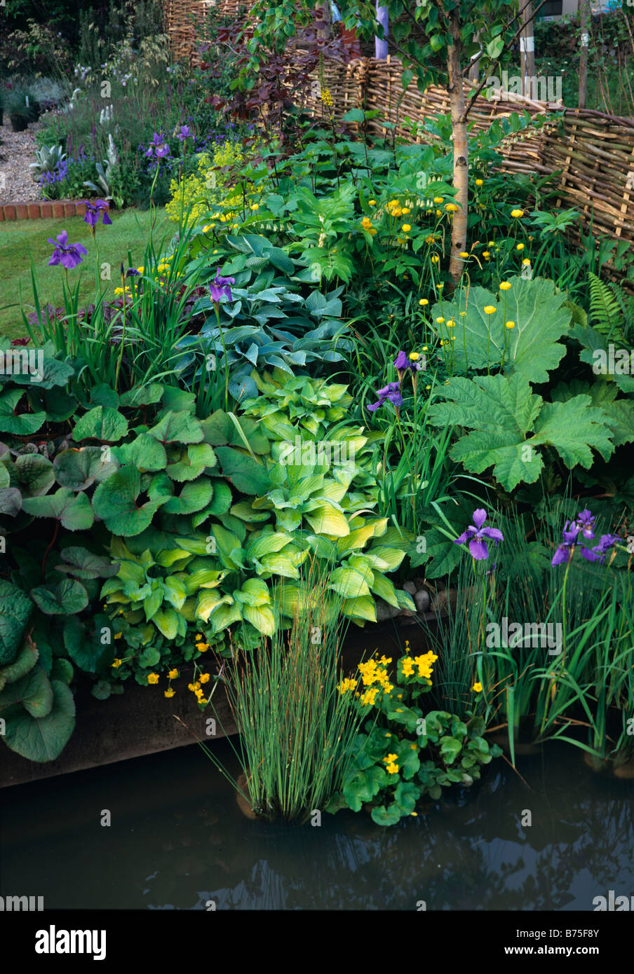 A garden flower border with water plants in a pool Stock Photo