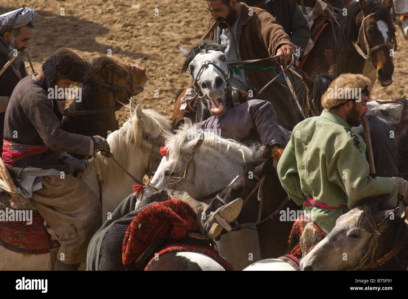 Afghan horsemen take part in the traditional Buzkashi game in Maimana