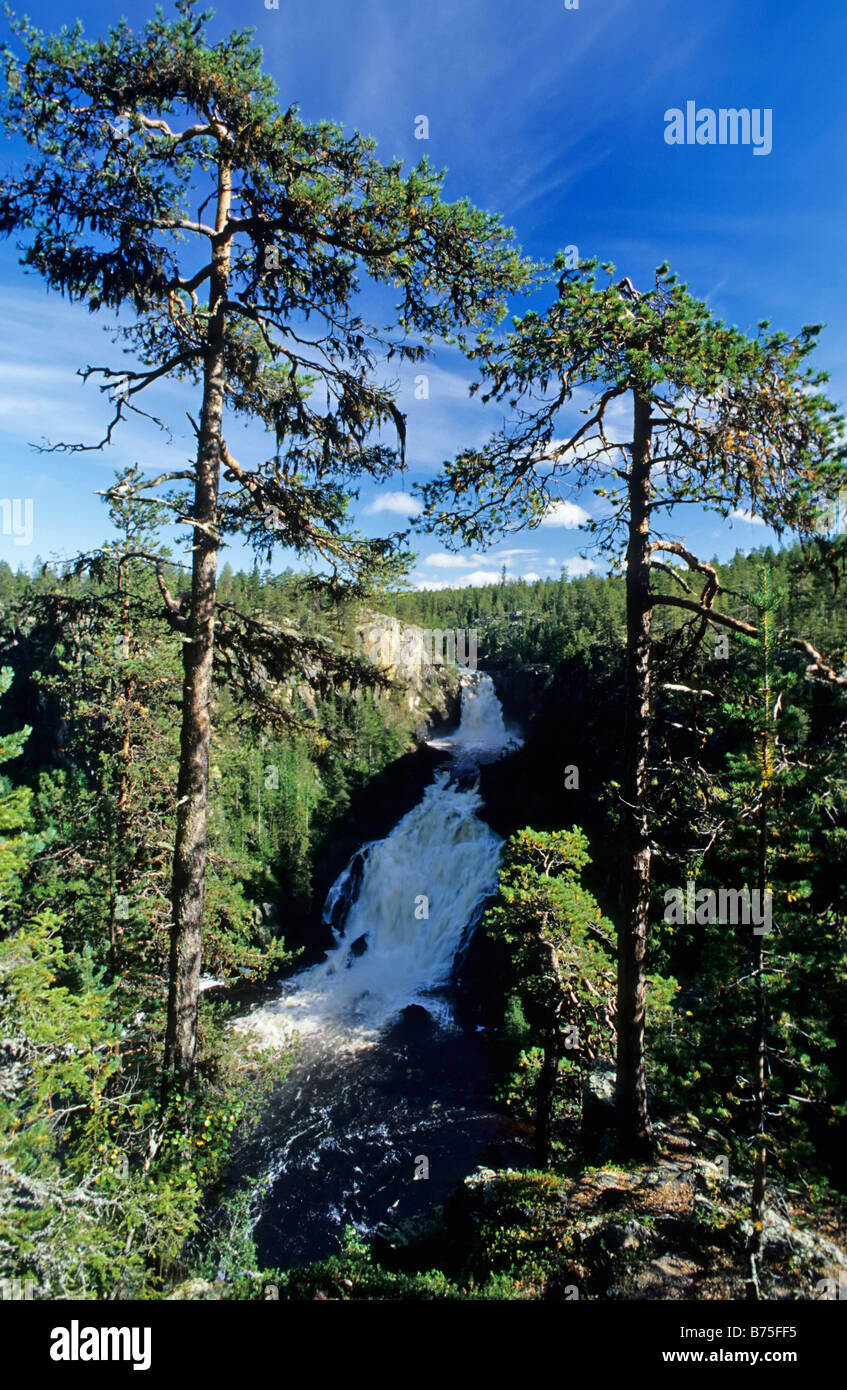 cascade 'Muddusfallet' Muddus NP lapland sweden Stock Photo