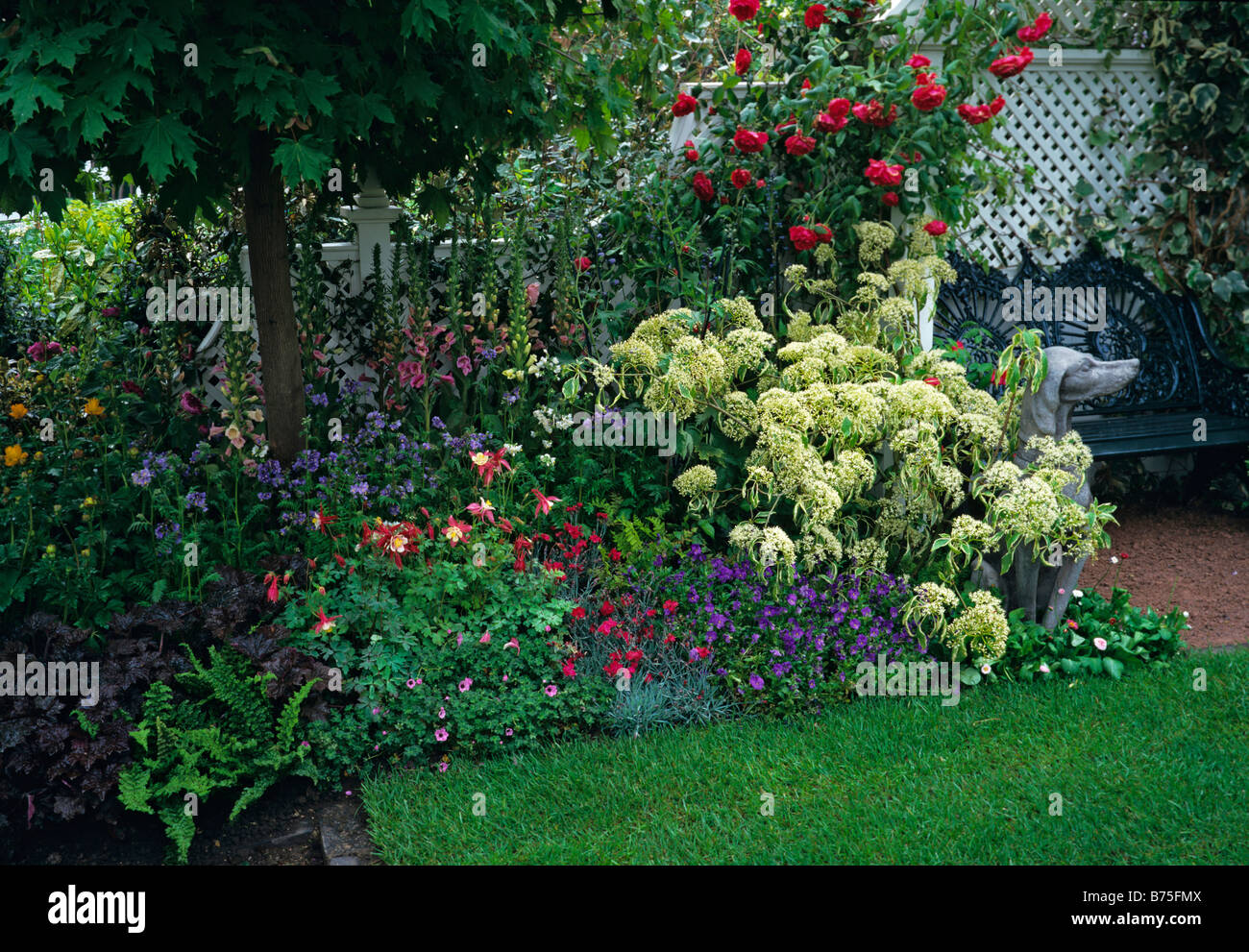 A colourful mixed border with young Cornus controversa Variegata in bloom Stock Photo