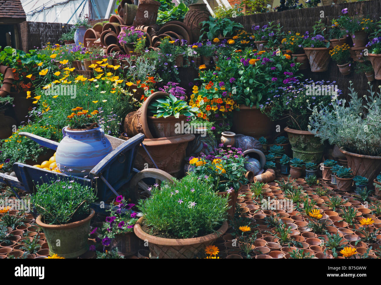Pottery display with planted flowers and containers Stock Photo