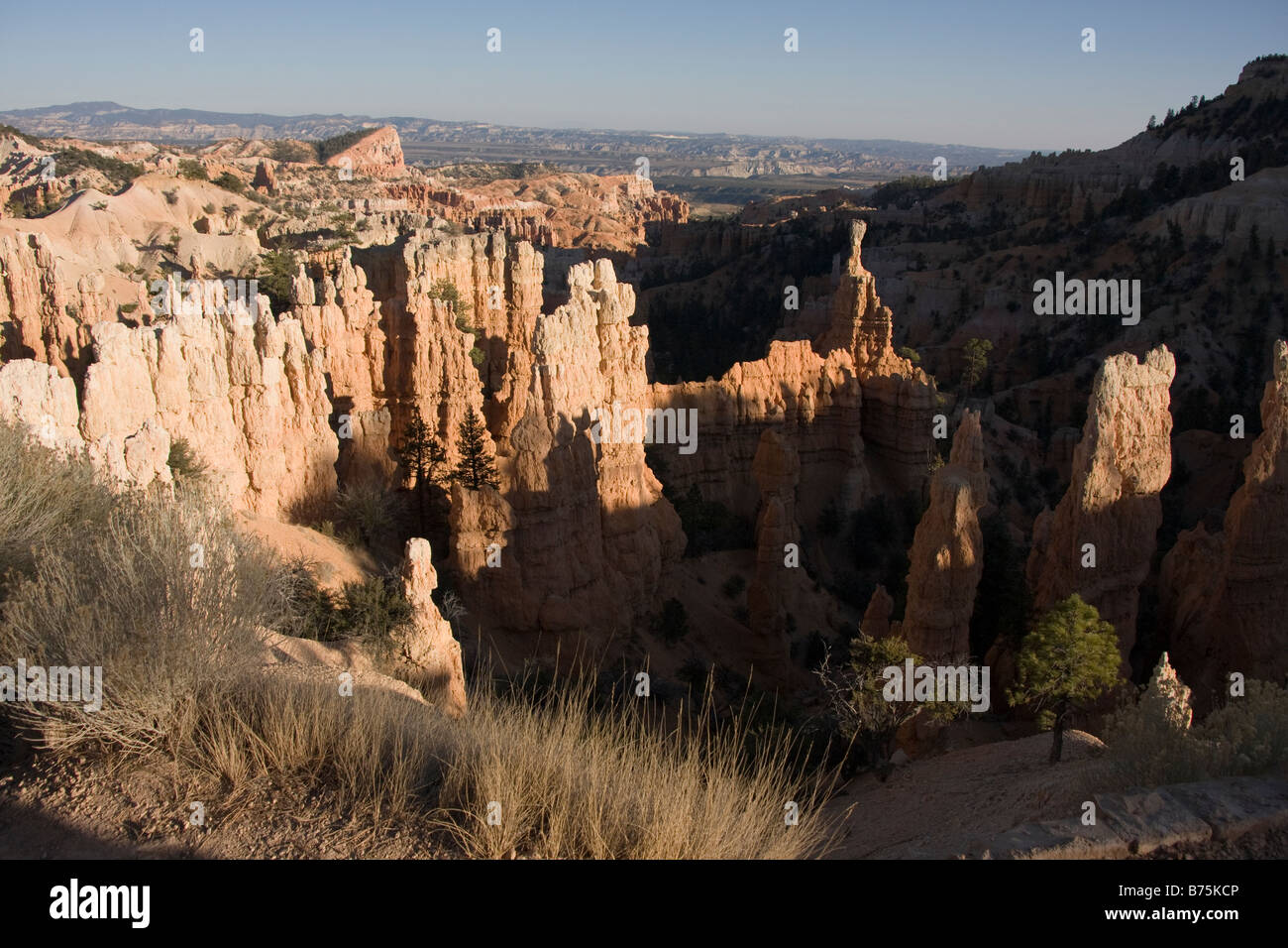 desert landscape Stock Photo