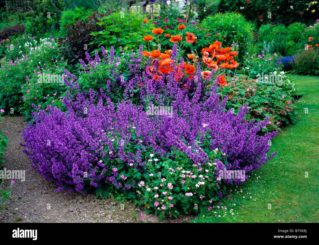 A colourful summer flower border at Abbey House Gardens Stock Photo