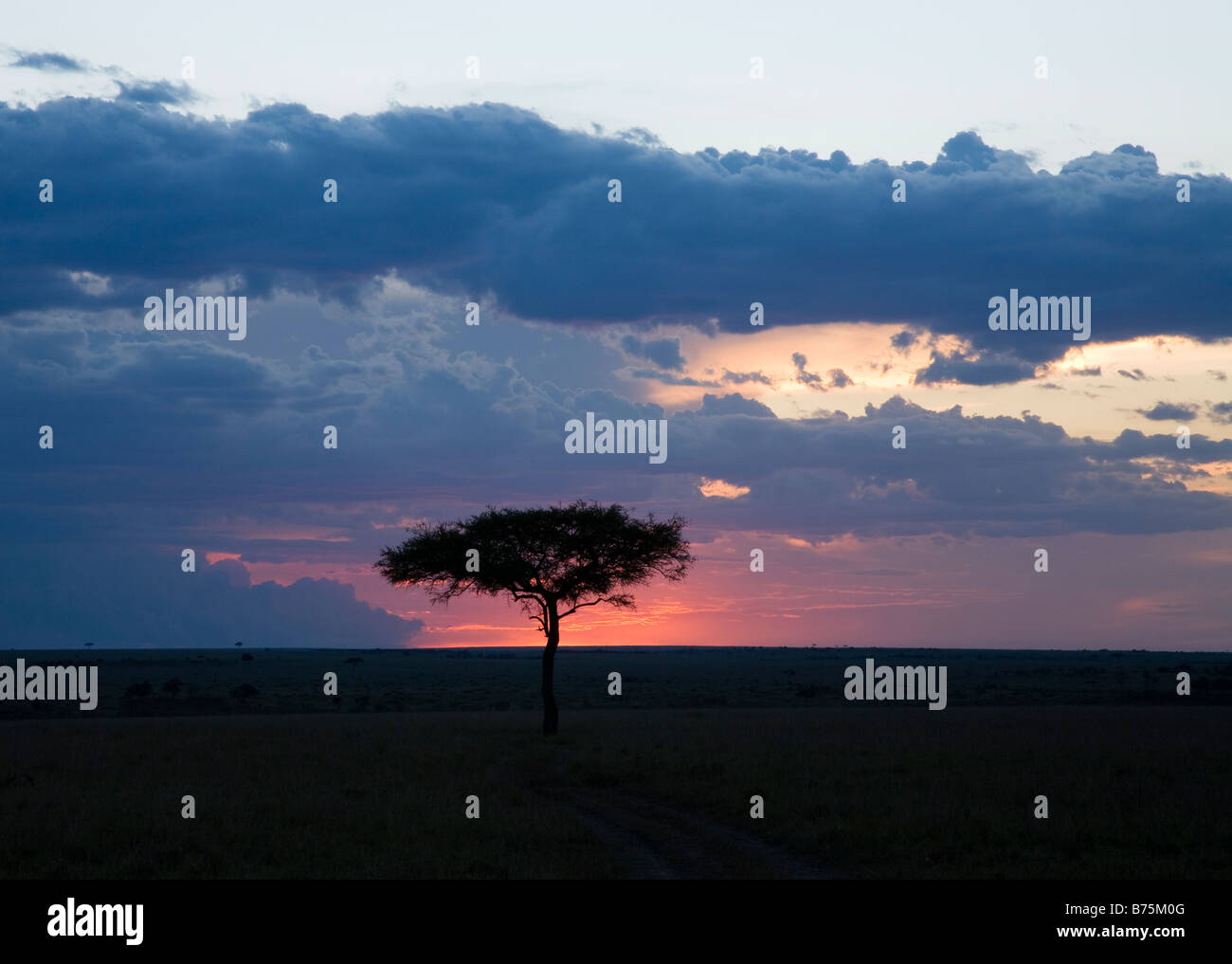 Sunset over the masai mara hi-res stock photography and images - Alamy