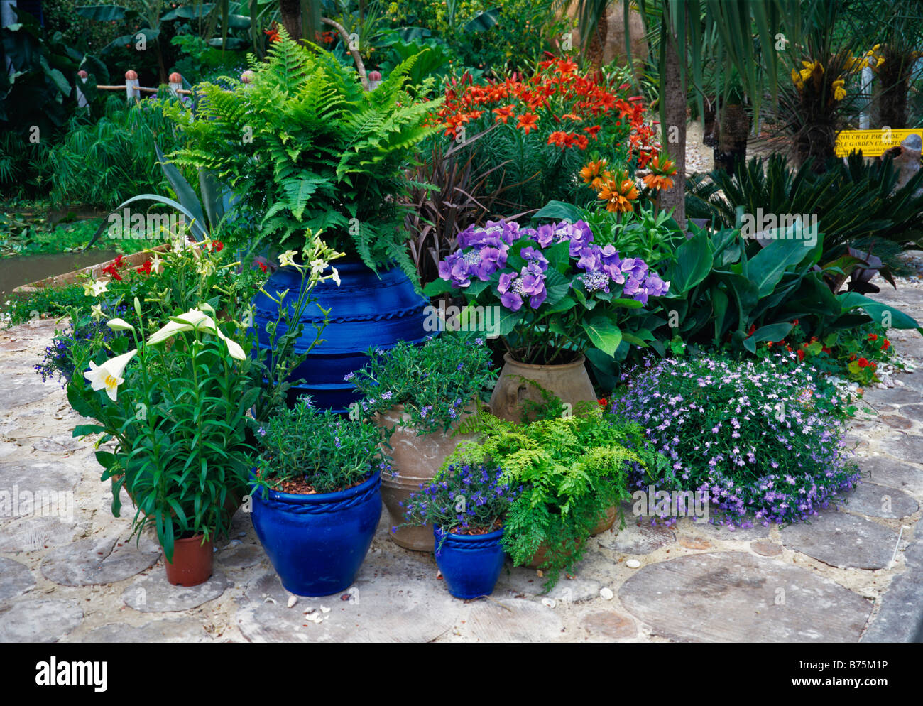 Collection of planted pots in a tropical garden Stock Photo