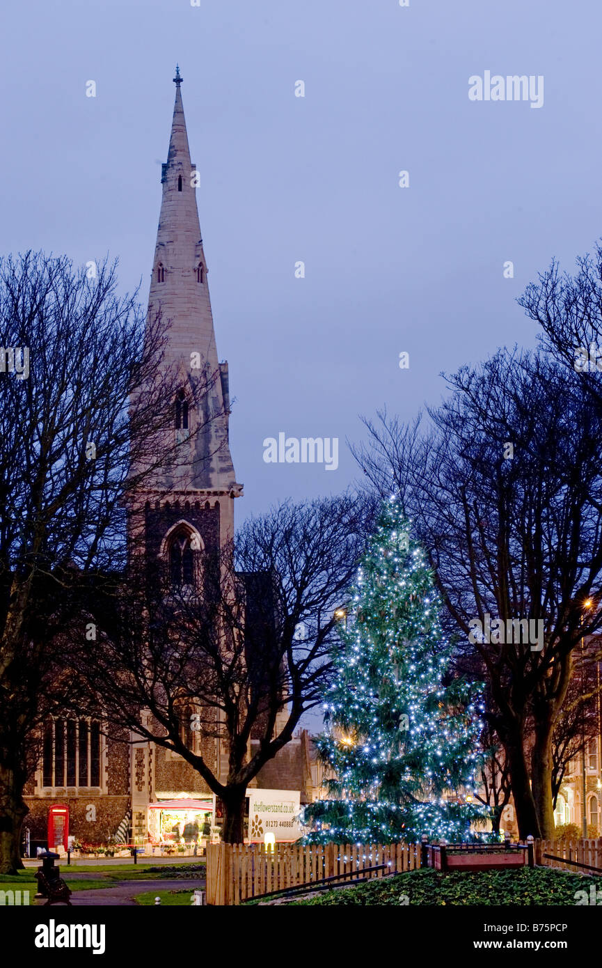 Christmas tree in Plameira Sq Hove East Sussex Stock Photo Alamy
