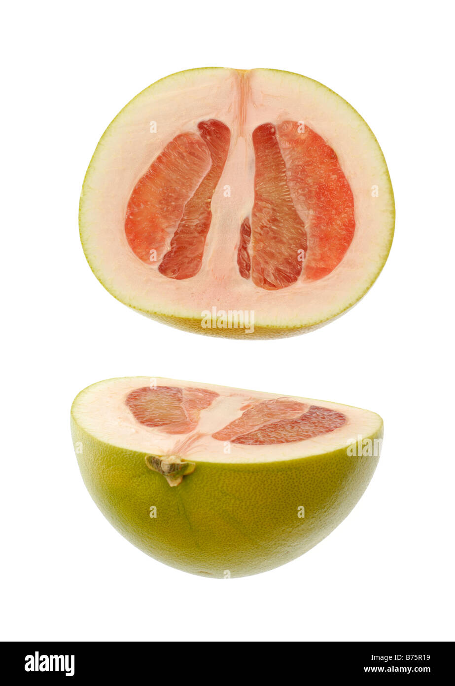 Pomelo "Citrus maxima" "Citrus grandis Stock Photo Alamy
