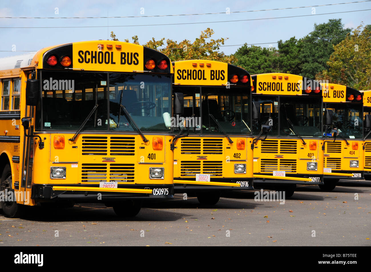 Yellow school buses, Cape Cod, USA Stock Photo Alamy