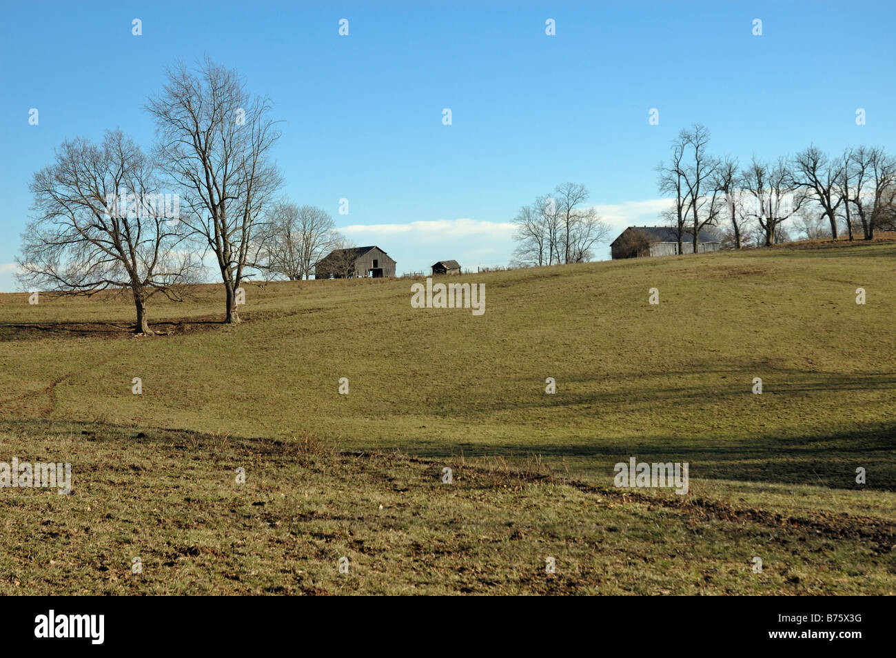 Rolling farmland in the bluegrass area of Kentucky USA Stock Photo - Alamy