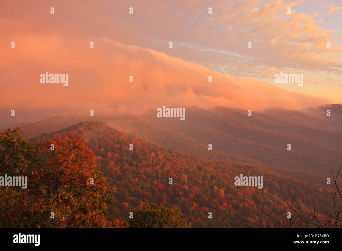 Dawn South of Mount Pisgah, Blue Ridge Parkway, North Carolina, USA Stock Photo