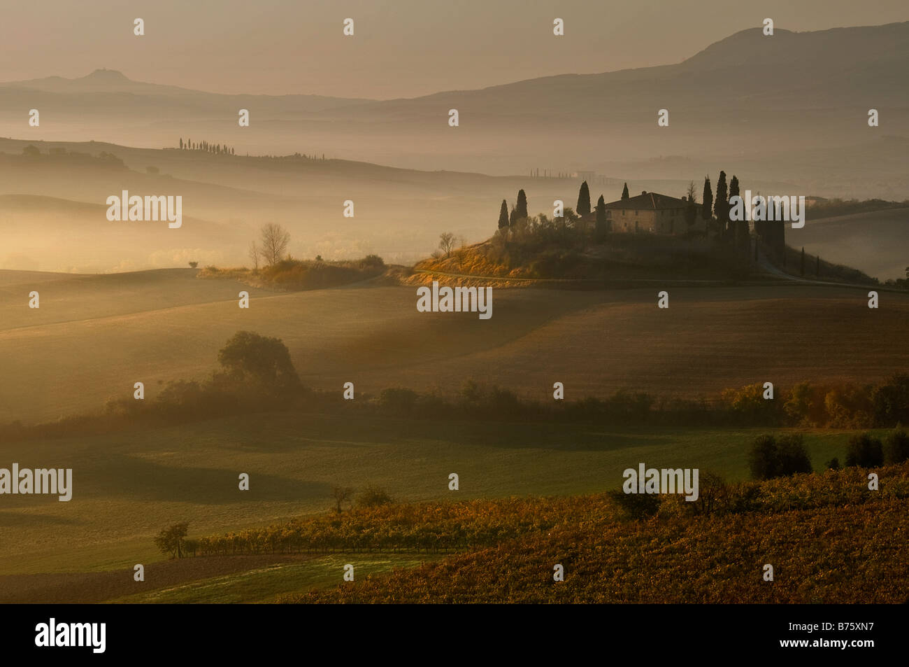 Sunrise across a misty Italian landscape of rolling hills and cypress trees. Stock Photo