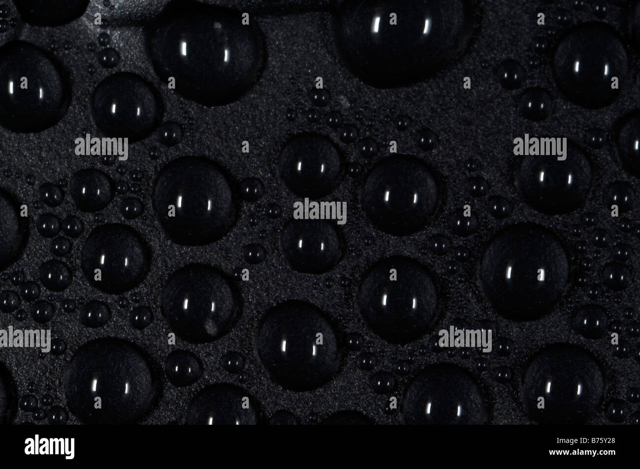 water droplets drop drops droplets surface tension fluid meniscus Stock
