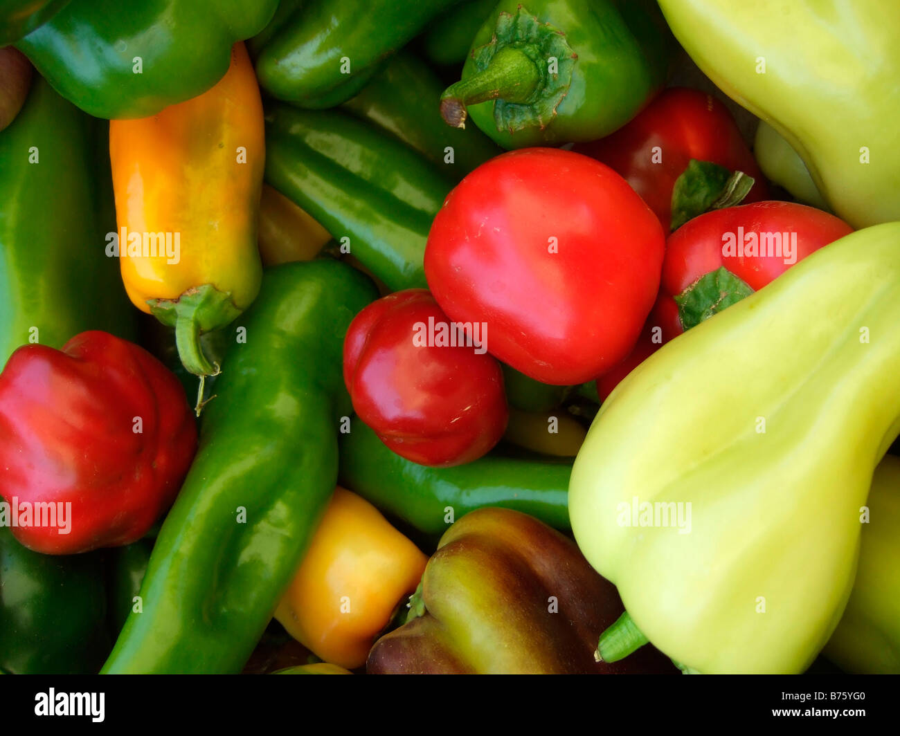various sweet peppers, California Stock Photo Alamy