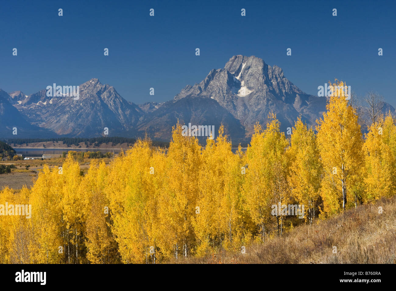 Mount Moran above aspen at Oxbow Bend in the fall Grand Teton National Park Wyoming Stock Photo