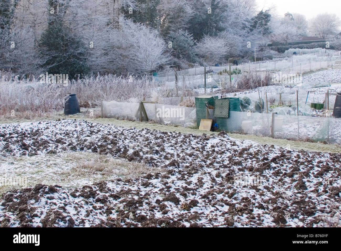 Frosty allotments Stock Photo