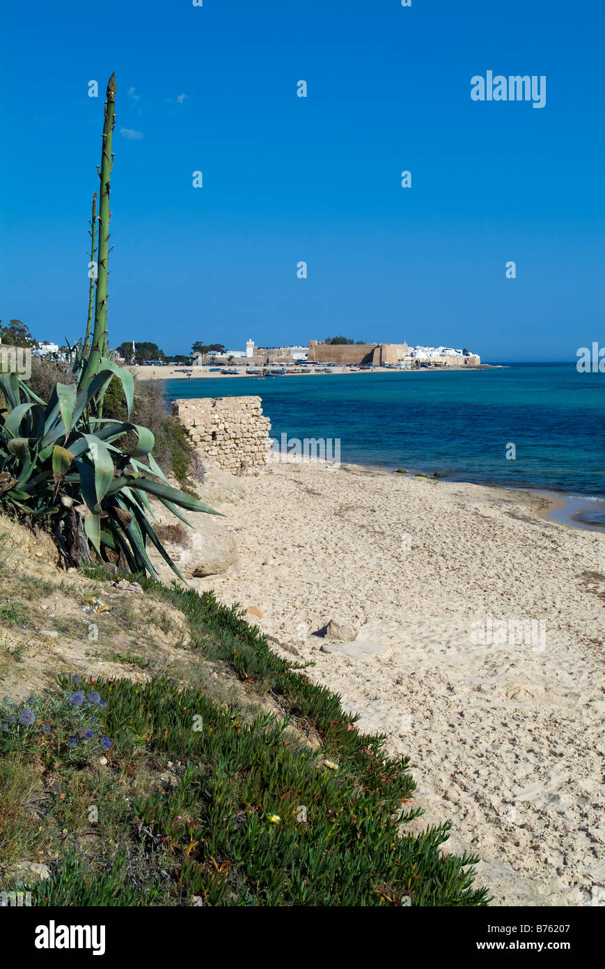 Beach and shoreline with the Medina in the background, Hammamet, Tunisia, North Africa Stock Photo