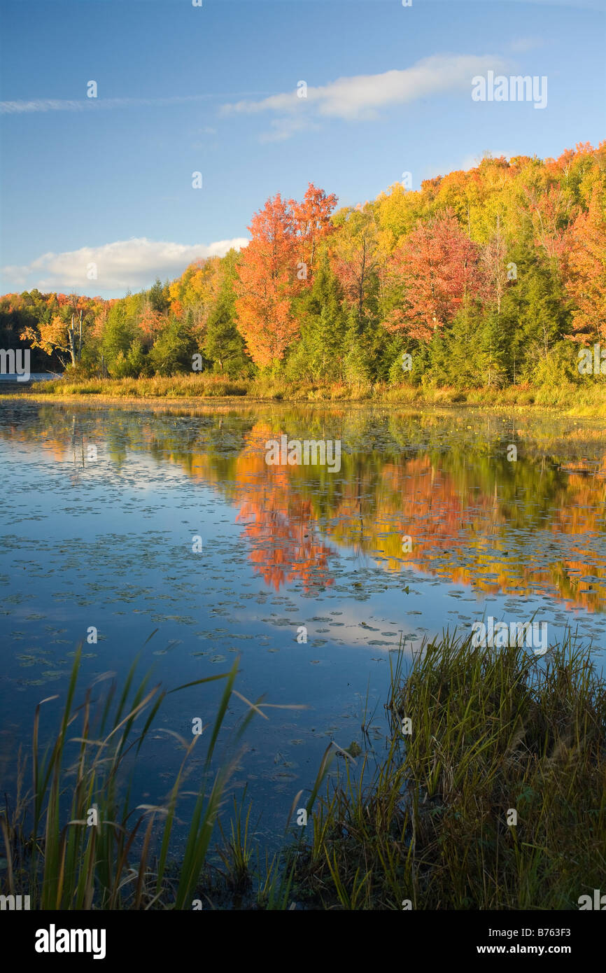 WISCONSIN Autumn sunset at Bass Lake located at the base of Timm's