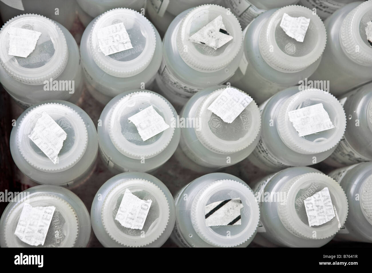 Plastic sample containers in laboratory, closeup Stock Photo Alamy