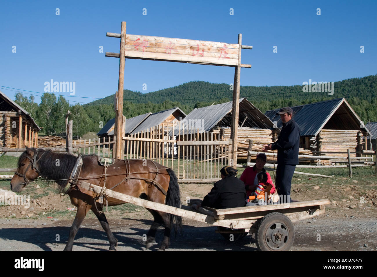 Tuwa herders riding in horse driven cart in Hemu village in Kanas National Park in Xinjiang in China Stock Photo
