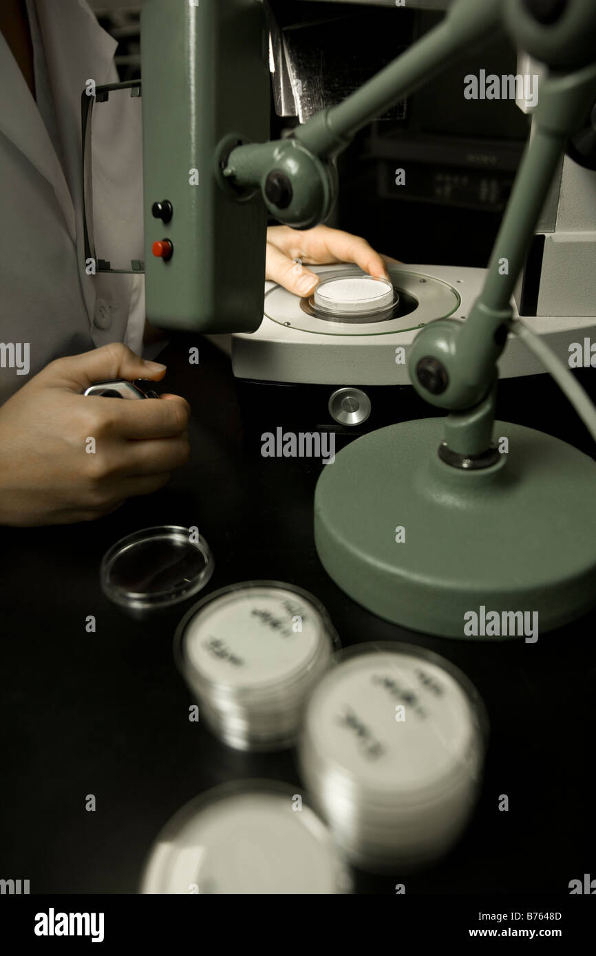 Scientist performing a bacteria count, Membrane filtration method, laboratory Stock Photo