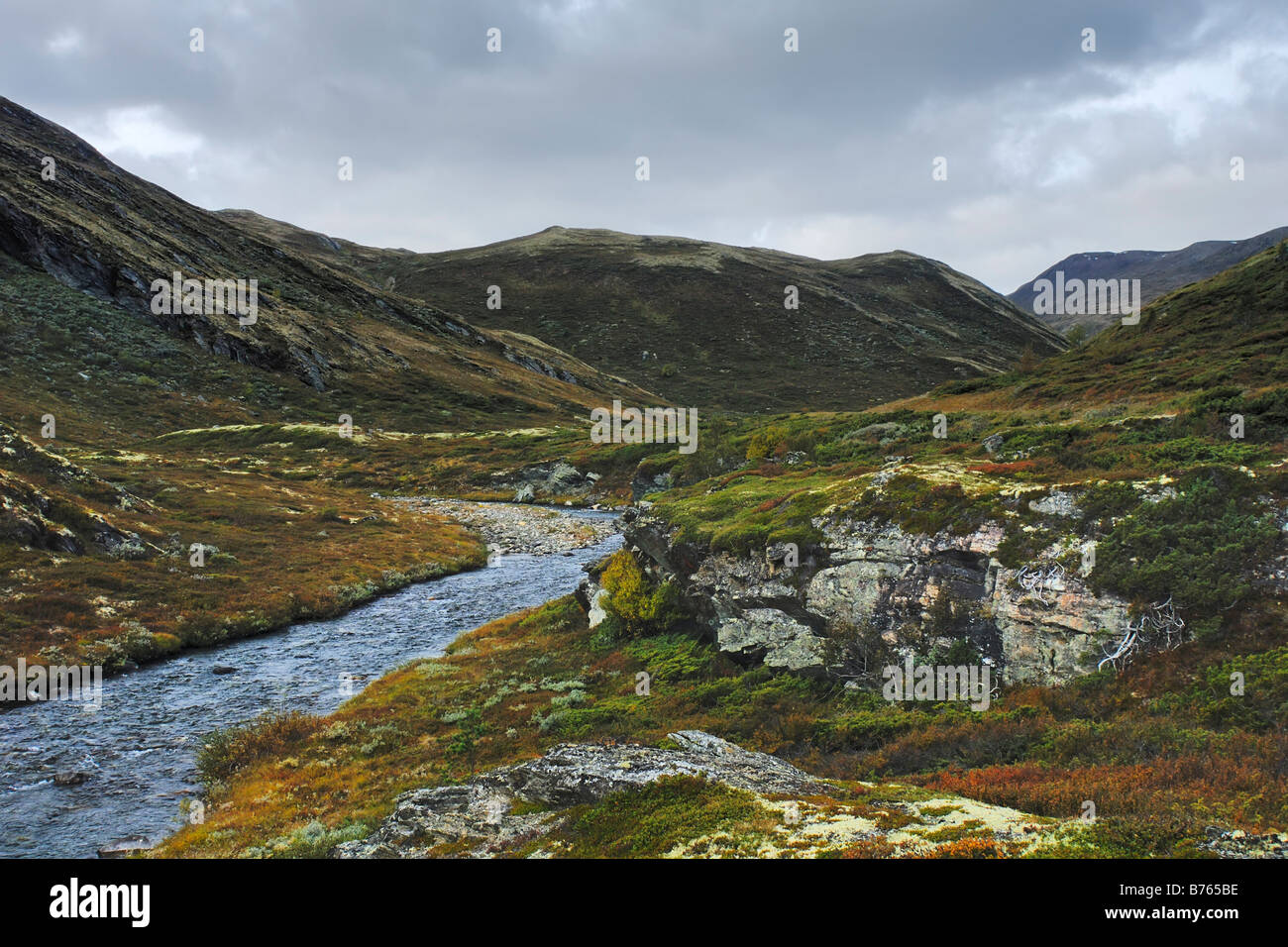 mountain scenery river grimsdalen oppland norway north europe landscape ...