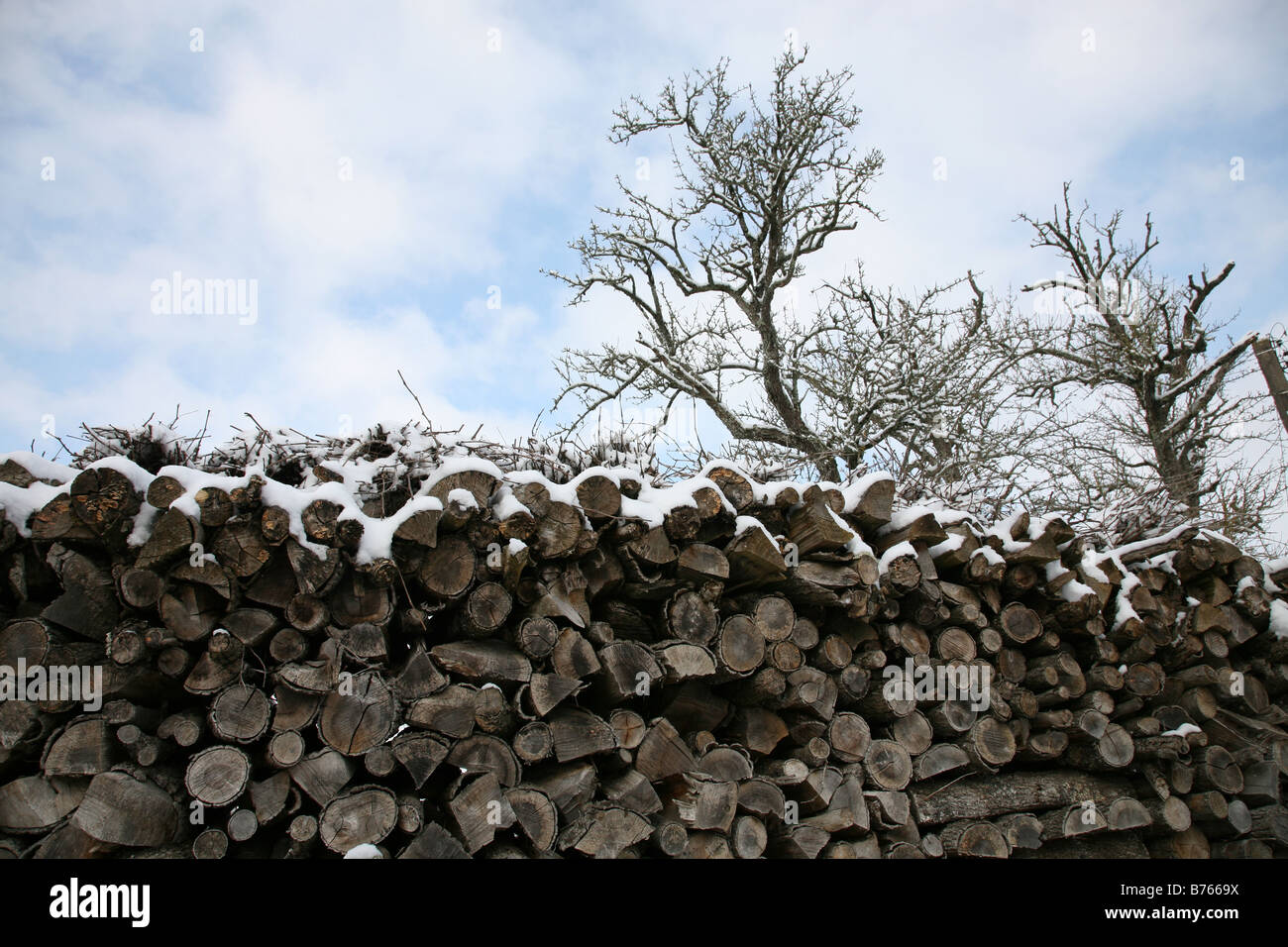 A large pile of logs stacked up and covered in snow Stock Photo