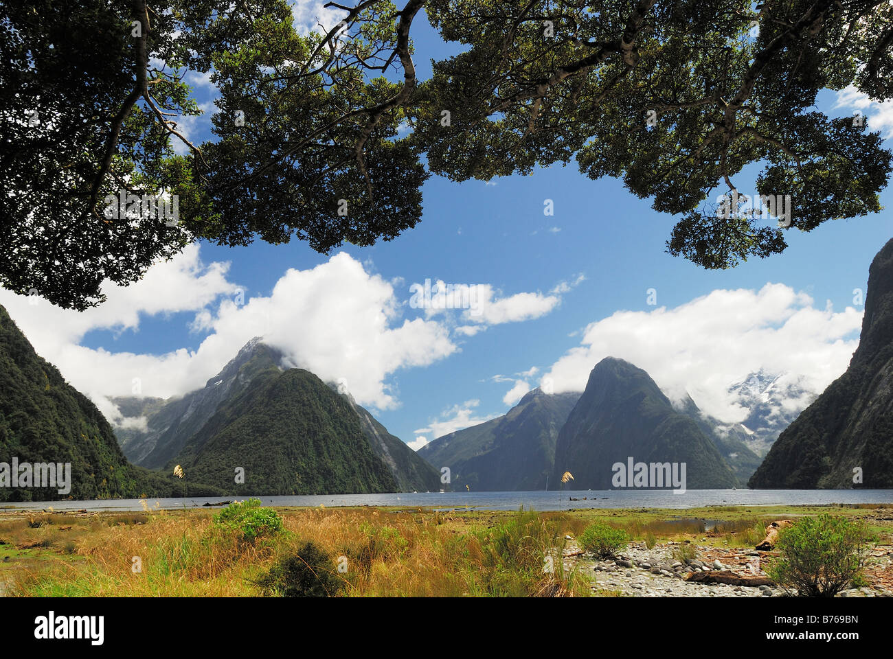 Milford Sound Fiordland National park South West New Zealand landscape scenery Stock Photo