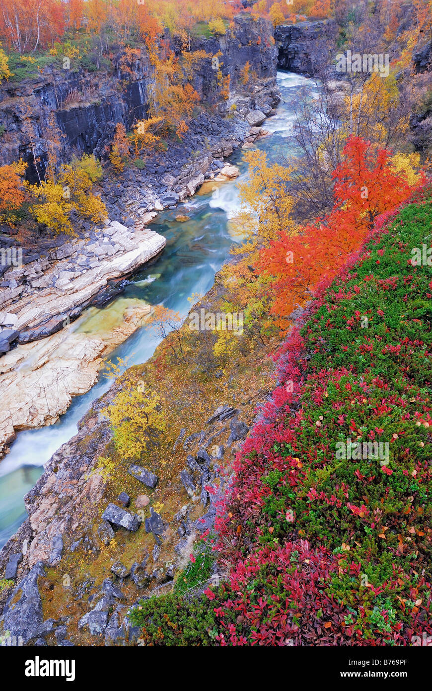 abisko jakka river njulla mountain abisko canyon landscape abisko national park norrbotten lapland sweden europe Stock Photo
