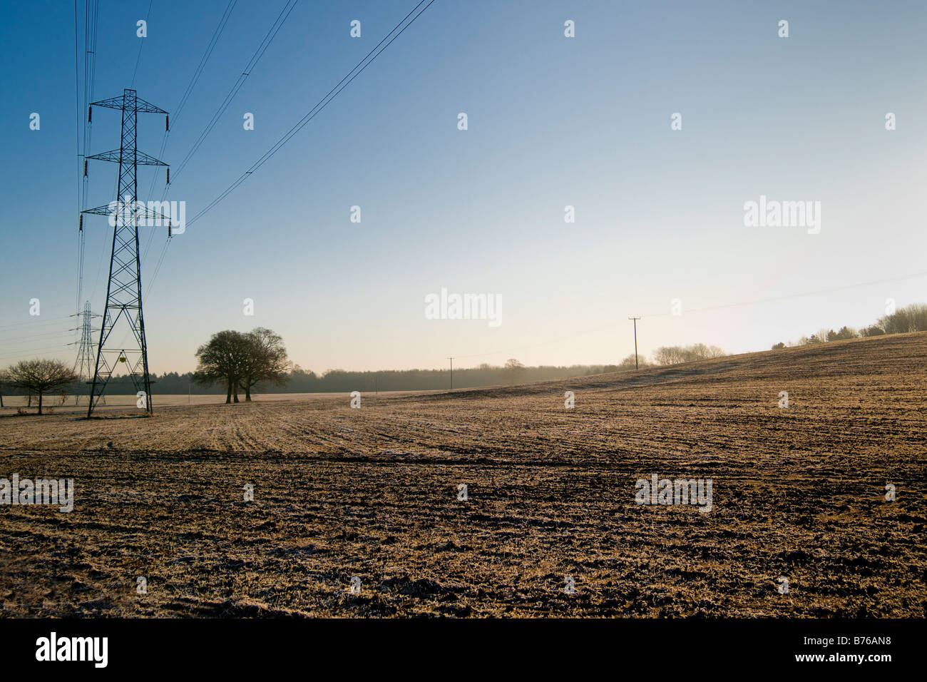 Winter in Surrey. Electric pylon in the background Stock Photo - Alamy