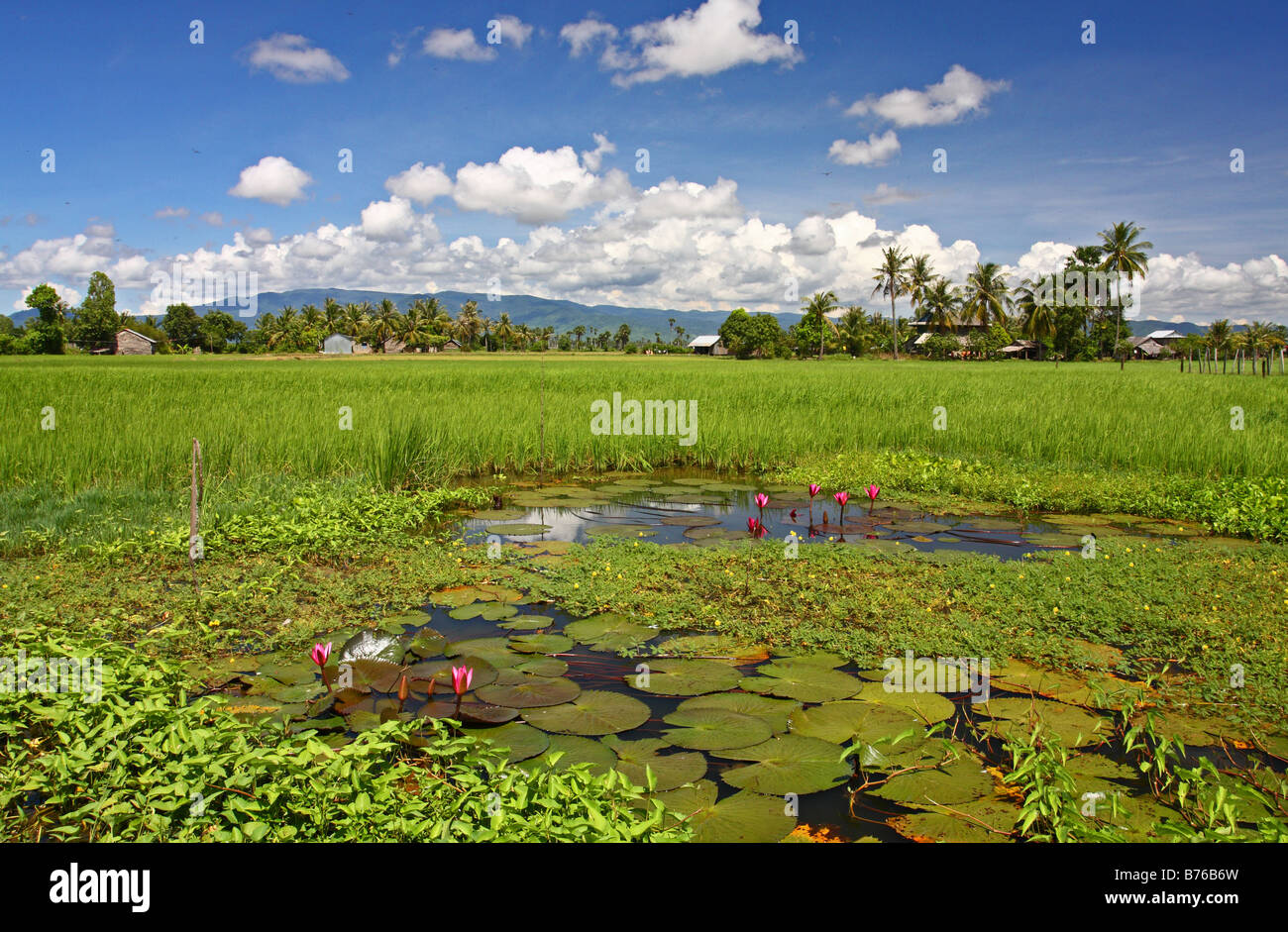 Cambodia countryside hires stock photography and images Alamy