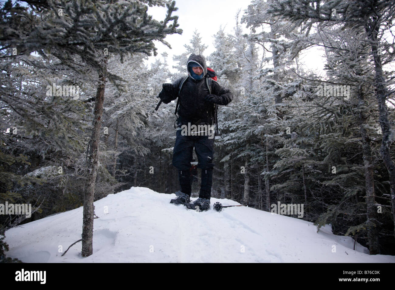 Hiker on snowshoeing on Mount Tecumseh Trail during the winter months  in the White Mountains New Hampshire USA Stock Photo
