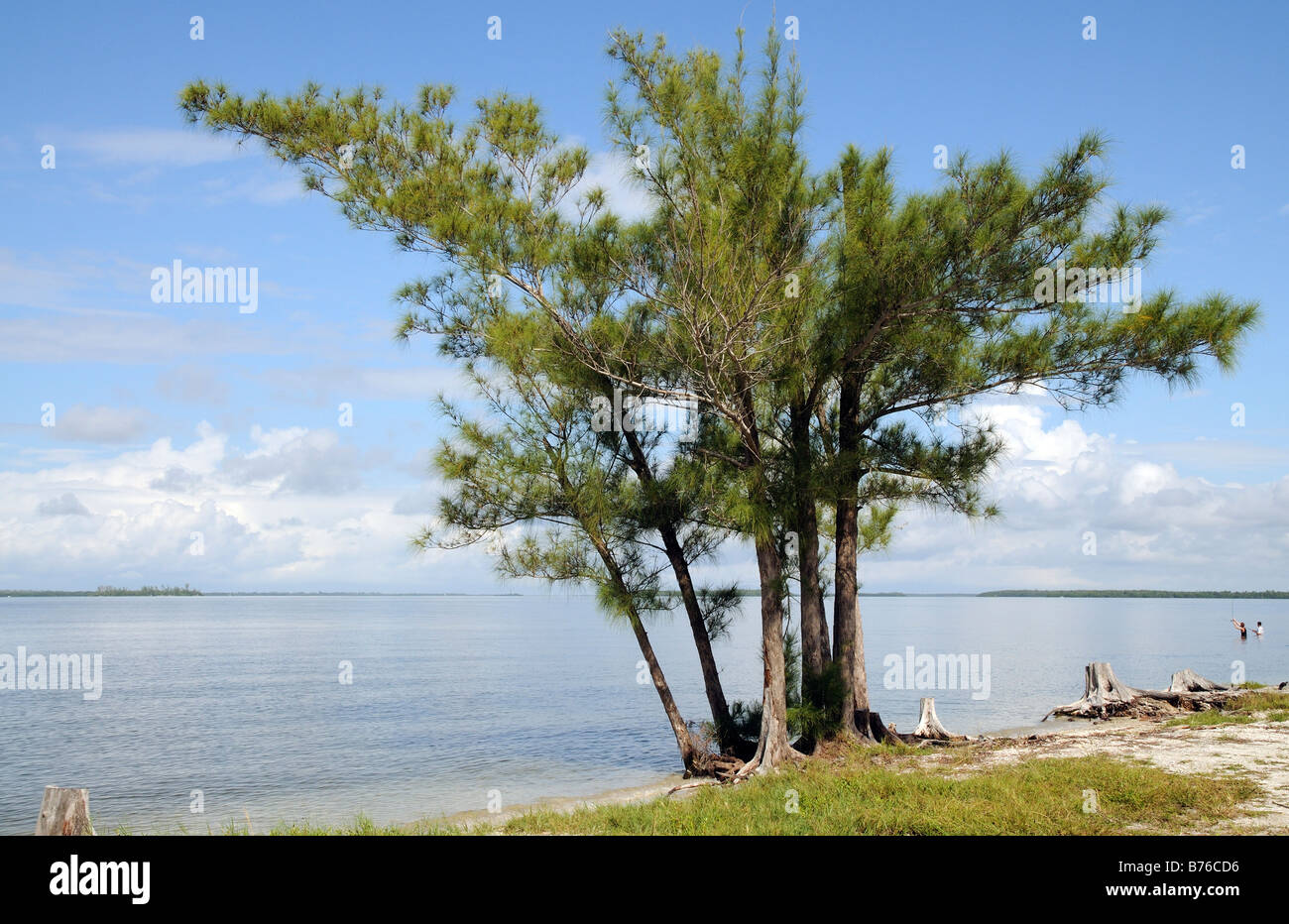 San Carlos Bay on the Gulf Coast Intracoastal Waterway close to Sanibel Island Florida USA Stock Photo